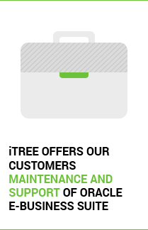 maintenance and support e business