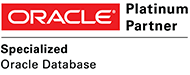 logo big oracle database
